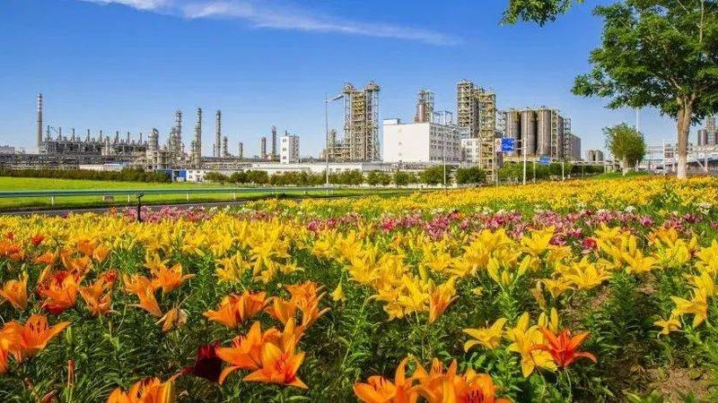 有机化工原料进出口操作步骤全解析